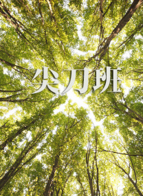 久久中文字幕综合婷婷